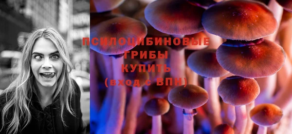 Альфа ПВП Карпинск