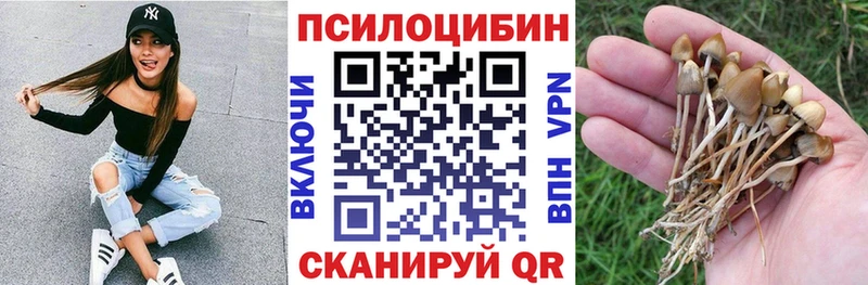 Галлюциногенные грибы GOLDEN TEACHER Пошехонье