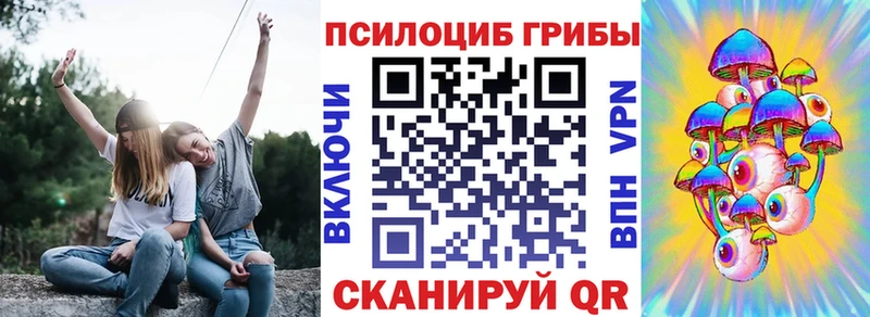 Купить где  Пошехонье  Псилоцибиновые грибы Cubensis 